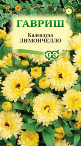 Календула Лимончелло  купить