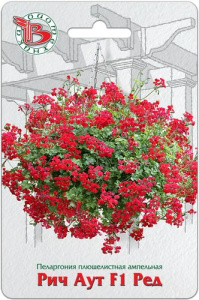 Пеларгония плющелистная ампельная Рич Аут F1 Ред купить