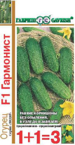 Огурец Гармонист F1  1+1  купить