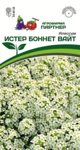Алиссум Истер Боннет Вайт морской купить