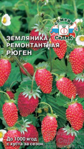 Земляника Рюген  купить