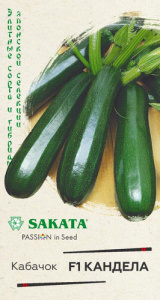 Кабачок Кандела F1 купить