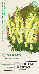 Львиный зев Соната желтая F1  купить