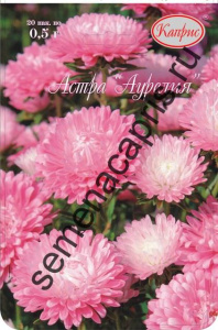 Астра Аурелия/1шт купить