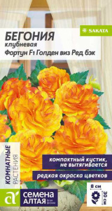 Бегония Фортун Голден виз Ред Бэк клубневая  купить