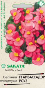 Бегония Амбассадор Роуз F1 вечноцветущ. купить