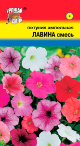 Петуния Лавина F1 смесь купить
