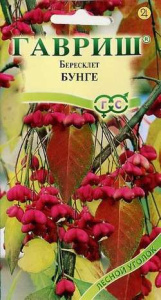 Бересклет Бунге  купить