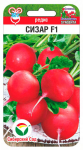 Редис Сизар F1 60шт  купить
