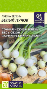 Лук на зелень Белый Пучок