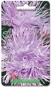 Астра Валькирия Хаген 70 шт купить