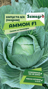 Капуста Аммон F1 купить