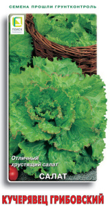 Салат Кучерявец Грибовский купить