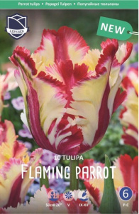 Тюльпан Флэйминг Пэррот /10шт купить
