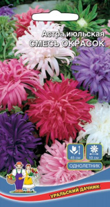 Астра Июльская Смесь окрасок  купить