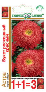 Астра Букет роскошный красный серия  1+1 купить