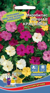 Мирабилис Ночная красавица  купить