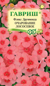 Флокс Очарование лососевое, друммонда купить