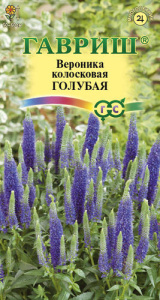 Вероника колосистая Голубая  купить