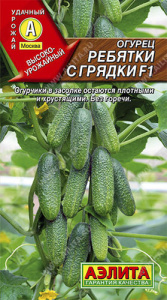 Огурец Ребятки с Грядки F1 купить