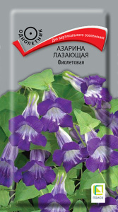Азарина лазающая Фиолетовая купить