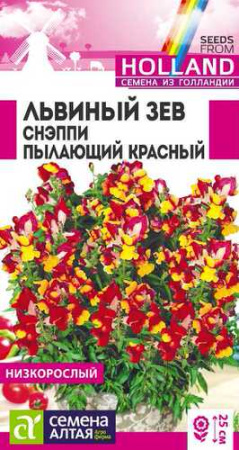  Львиный зев Снэппи Пылающий красный  купить