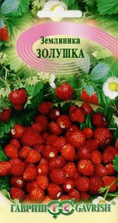 Земляника Золушка ремонтантная  купить