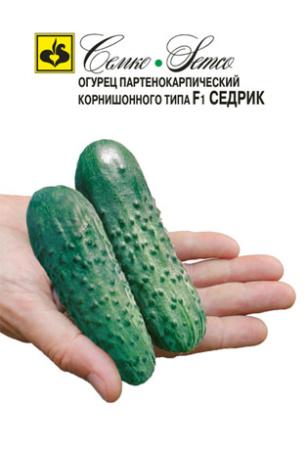 Огурец Седрик F1 купить