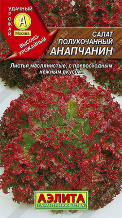 Салат Анапчанин полукочанный  купить