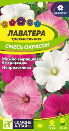 Лаватера Смесь  купить