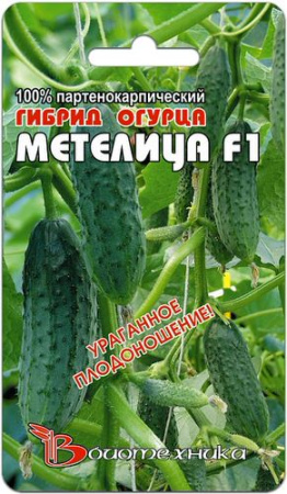 Огурец Метелица F1 купить