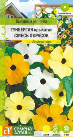 Тунбергия Сюзи Смесь окрасок Ампельные Шедевры купить