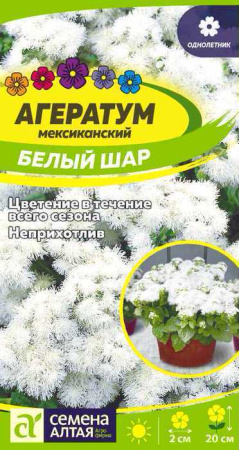 Агератум Белый шар  купить