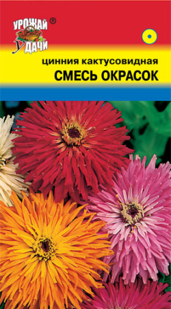 Цинния Кактусовидная смесь купить