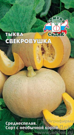 Тыква Свекровушка  купить