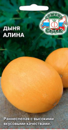 Дыня Алина  купить