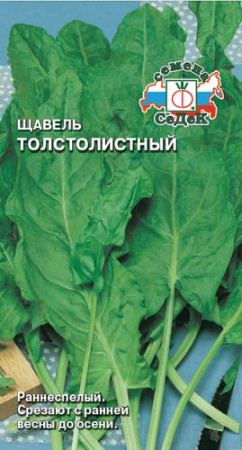 Щавель Толстолистный  купить