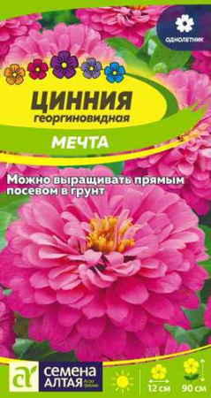 Цинния Мечта  купить