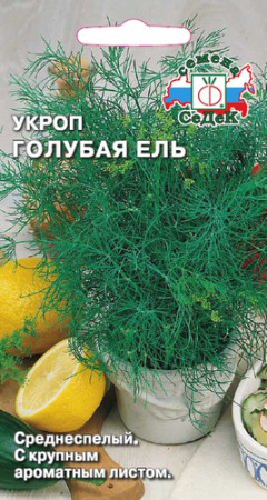 Укроп Голубая ель купить