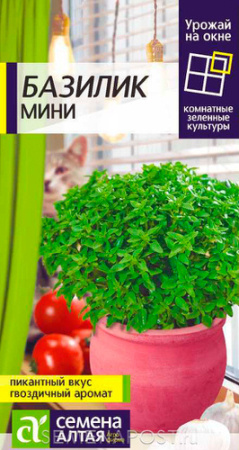 Базилик Мини Урожай на окне купить
