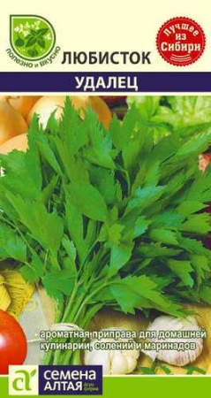 Любисток Удалец  купить
