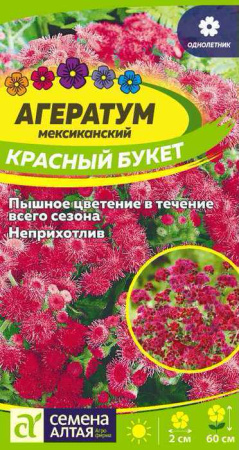 Агератум Красный букет  купить