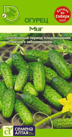Огурец Миг купить