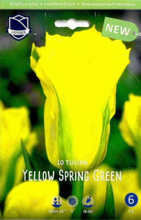 Тюльпан зеленоцветковый "Yellow Spring Green" (1х10шт) купить