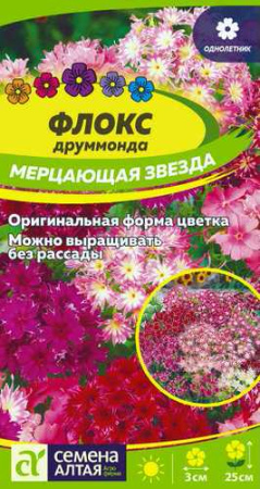Флокс Мерцающая Звезда друммонда купить