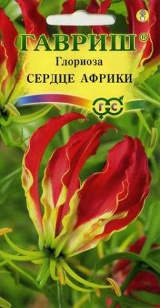 Глориоза Великолепная Сердце Африки купить