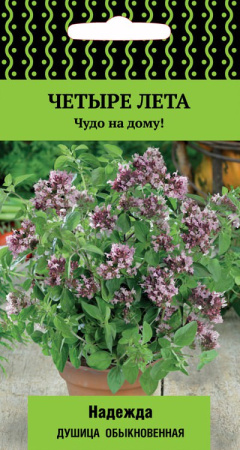 Душица Надежда купить
