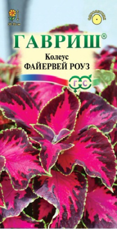 Колеус Файервей Роуз  купить