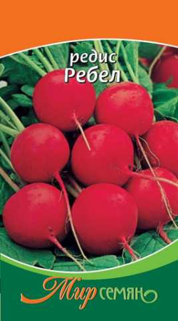 Редис Ребел 1г купить