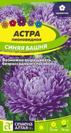 Астра Синяя Башня  купить